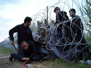 Europalamentarii cer reformă/ Sistem centralizat de gestionare a solicitărilor de azil