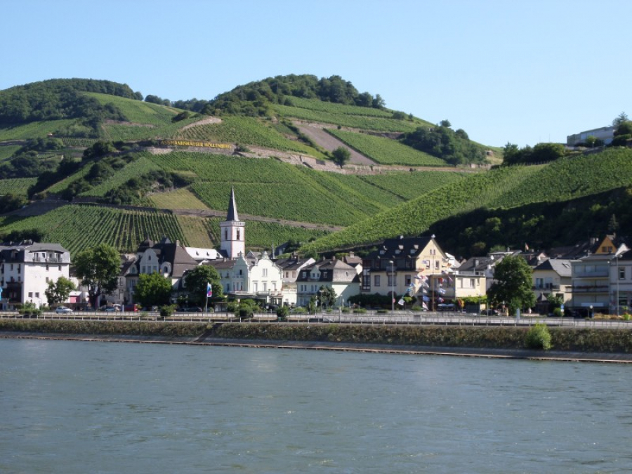 Fugă printre castelele şi legendele de pe Rin la preţ redus (FOTO)