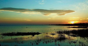 Lacul Brateș, Delta noastră, a gălățenilor