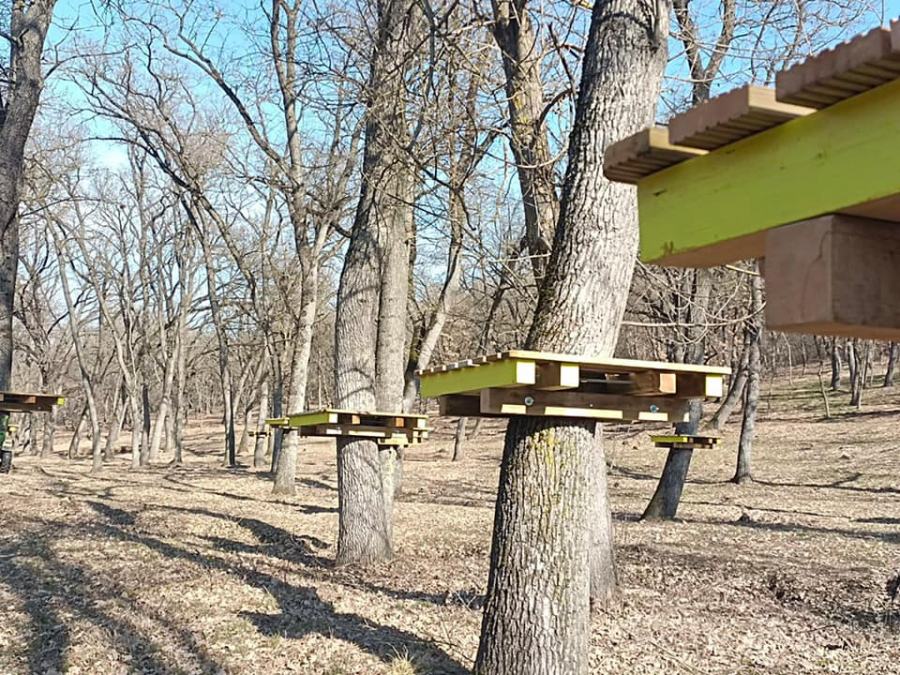 Start în amenajarea parcului de aventură de la Gârboavele