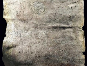 Un BLESTEM vechi de 1.700 de ani a fost descifrat