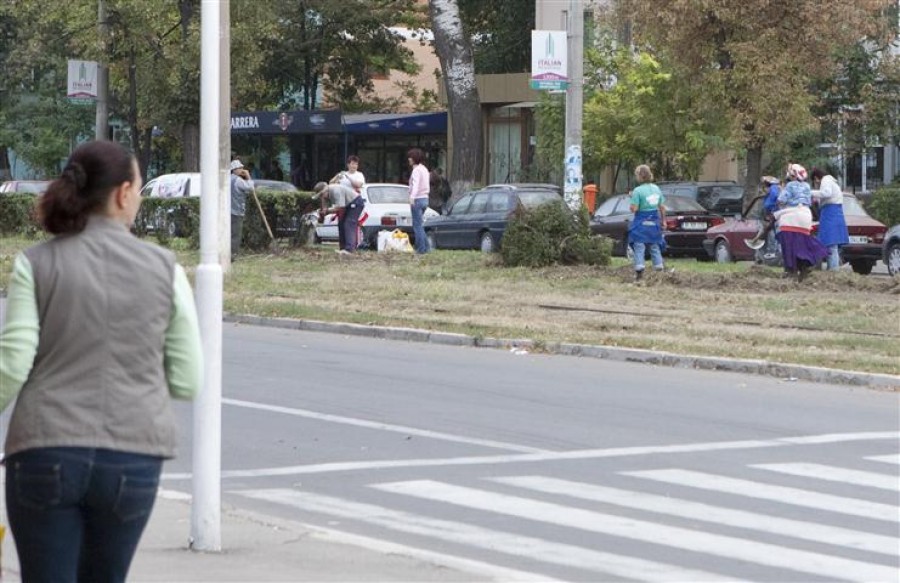 Gardul viu dispare de pe Traian Vuia şi de pe alte artere din oraş