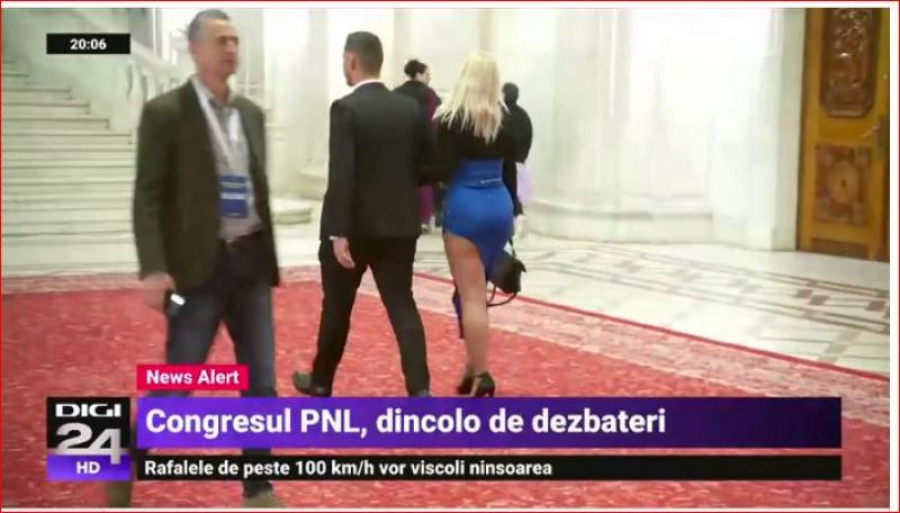 Graţie şi dizgraţie la Congresul PNL