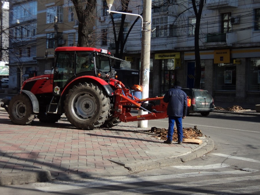 Pregătiri pentru PLANTĂRI. Se scot cioatele de pe Domnească