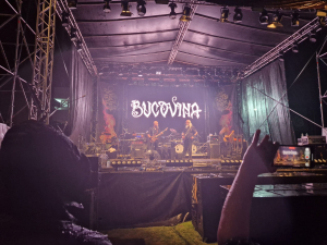 Tributuri fabuloase şi rock dezlănţuit în ploaie cu Bucovina la Danube Rock Revolution (GALERIE FOTO &amp; VIDEO)