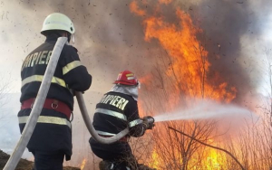 Peste 30 de incendii de vegetaţie, stinse de pompieri
