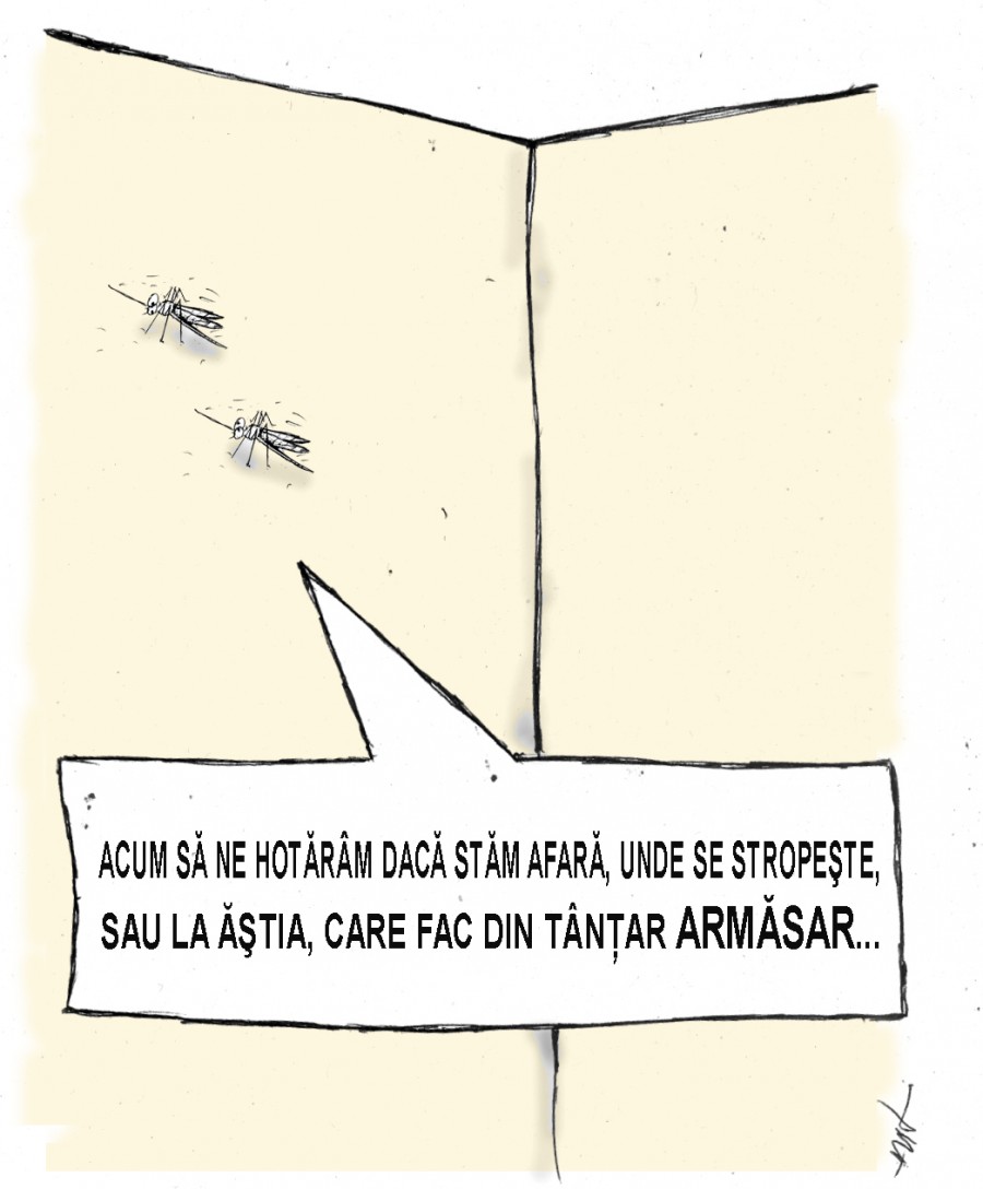 Caricatura 22 mai 2013