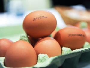 Ouă „de aur” pe mesele gălăţenilor 