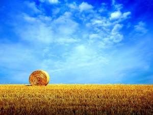 PROGNOZA METEO pentru perioada 19 august - 1 septembrie 
