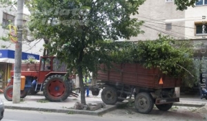 Duminica furtunii nebune 