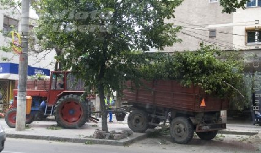 Duminica furtunii nebune 