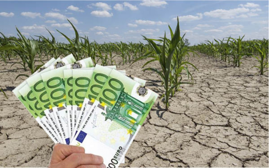 Asistență europeană de 34 milioane de euro, după seceta din 2022