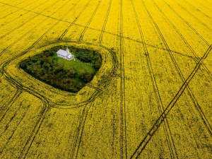Locul din România unde se află o biserică unică în lume. Legenda de Sfânta Mărie din jurul lăcașului