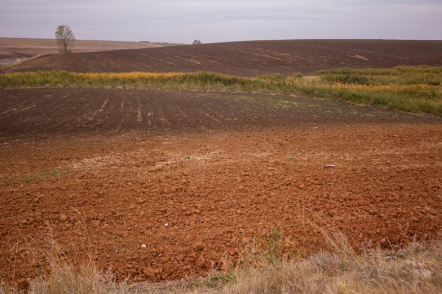 Galațiul revine în topul vânzărilor de terenuri agricole