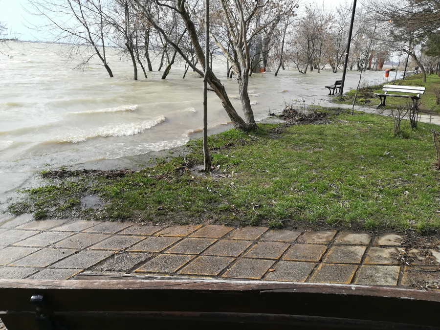 Dunărea a atins cota de 617 centimetri