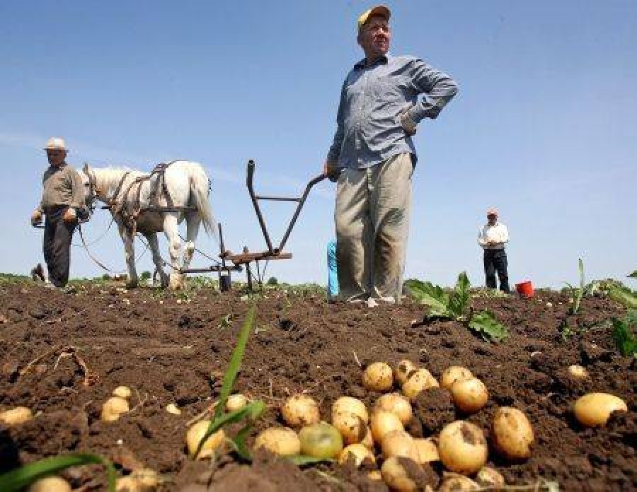 Producătorii agricoli se pot înscrie la un fond mutual până la 15 mai 2014