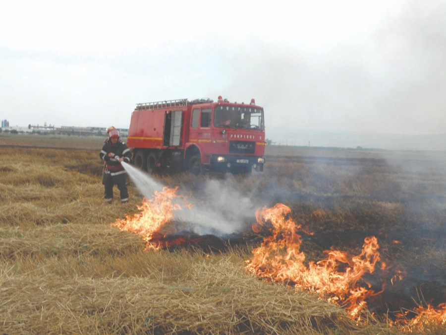 12 incendii de vegetaţie într-o lună şi jumătate