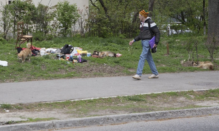 Câini şi gunoaie lăsate în plină stradă, în Galaţi