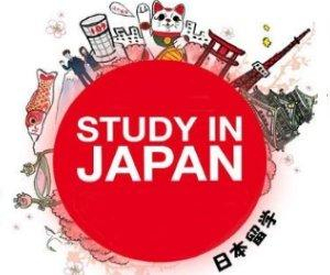 Practică plătită în Japonia pentru studenţi