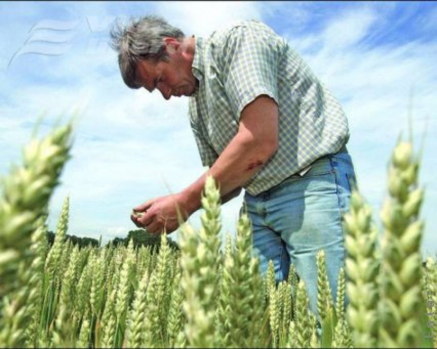 Sezonul fondurilor europene în agricultură