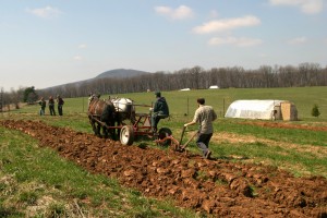 Campanie VL &quot;Din culisele agriculturii&quot;: Gălăţenii nu vor să-şi vândă glia străinilor 