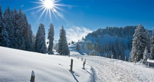 Prognoza meteo până pe 27 ianuarie: Ce temperaturi vor fi şi când va ninge