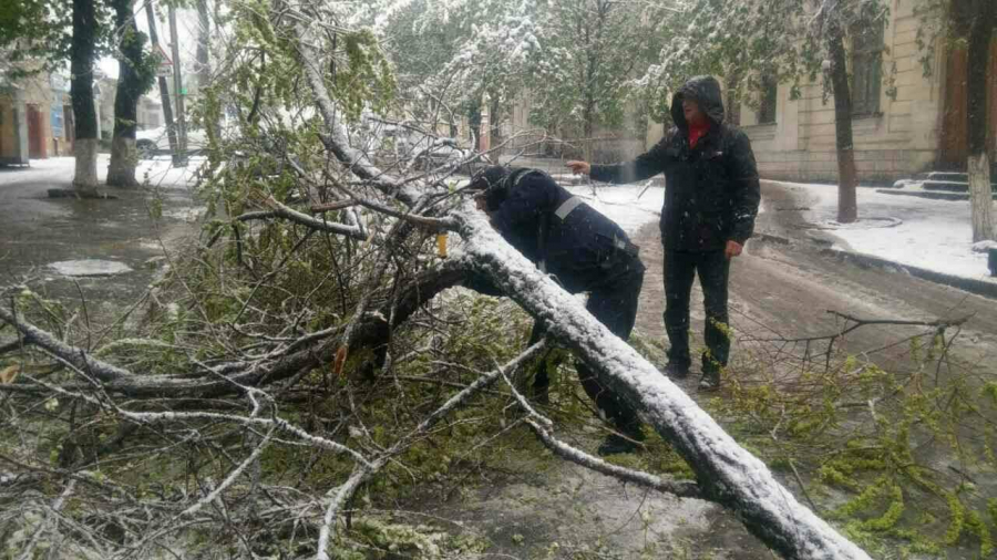 AVARIE | Fără curent şi semnal tv la Cuca