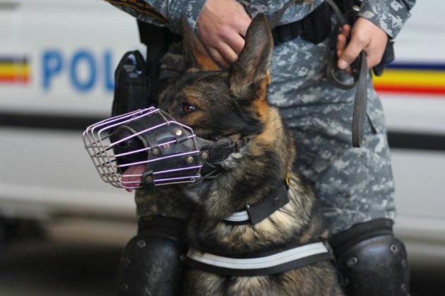 PERCHEZIŢII după arme şi muniţie la Galaţi. Un bărbat a fost reţinut