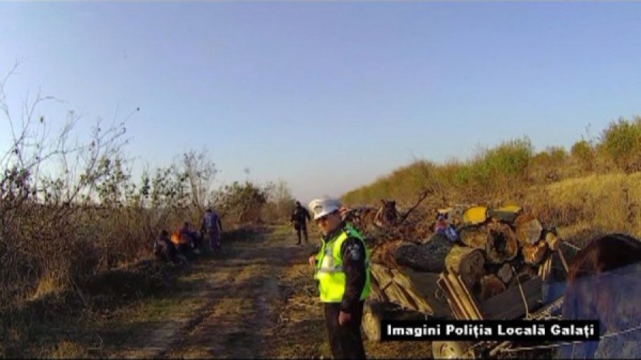 Prinşi la FURAT DE LEMNE în livada Seromgal (VIDEO)