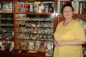 Comorile şi semizeii familiei Stoian