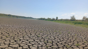 Seceta a secat bazinul de cercetări de la Brateș