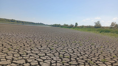 Seceta a secat bazinul de cercetări de la Brateș