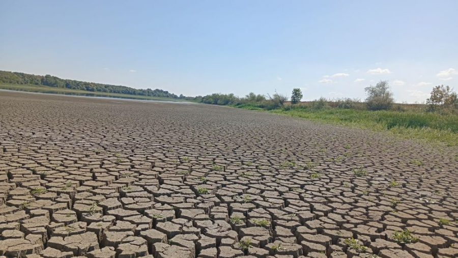 Seceta a secat bazinul de cercetări de la Brateș