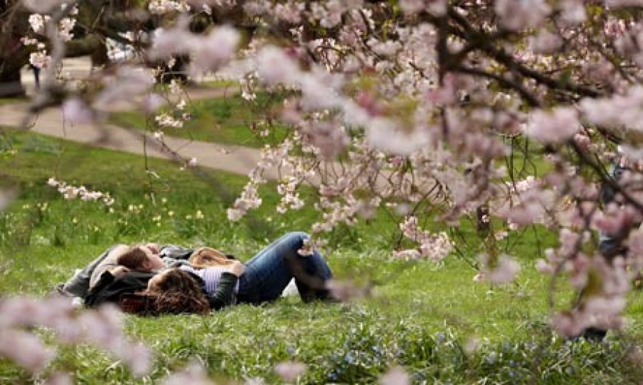 Cum va fi vremea de 1 mai şi de Paşti 