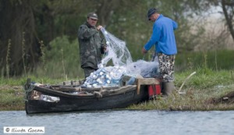 TULCEA: Aproape 17 milioane de lei alocate pentru proiecte