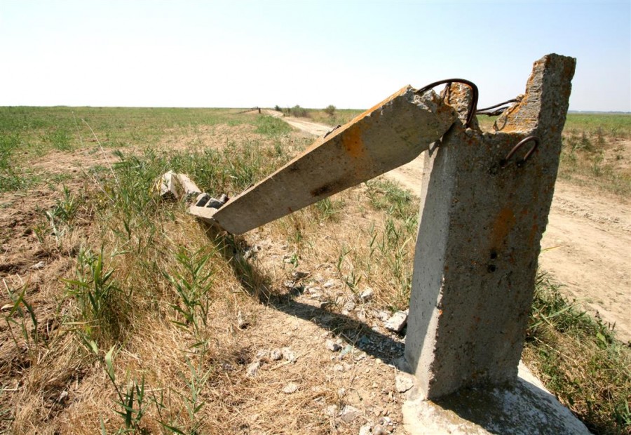 Pe câmp se fură ca-n codru: Tăietorii de stâlpi