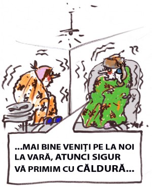 4 octombrie 2013