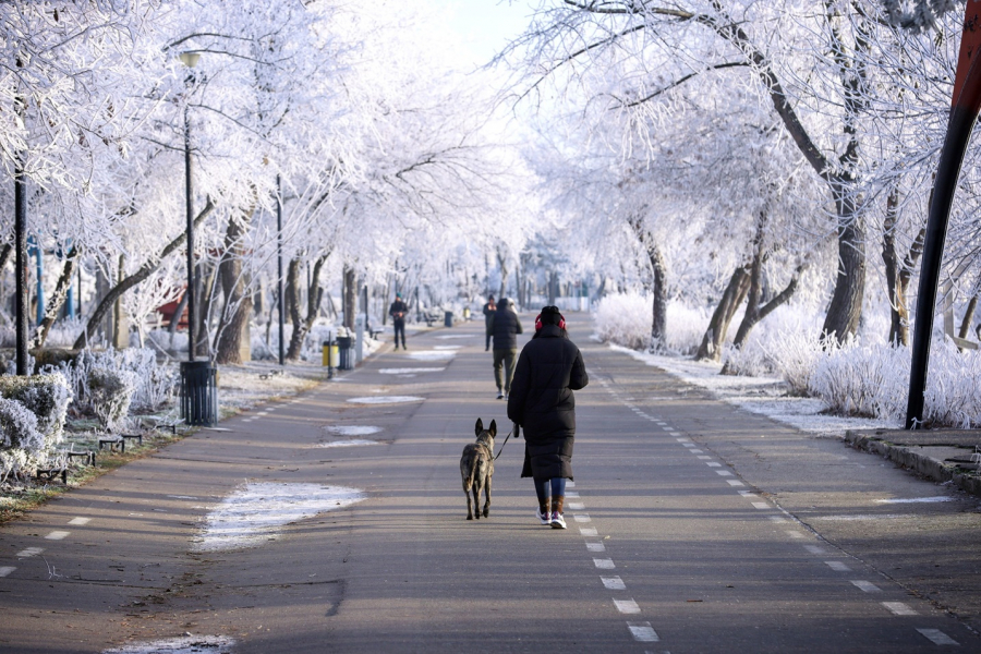 Alternanțe de temperatură, de la o zi la alta