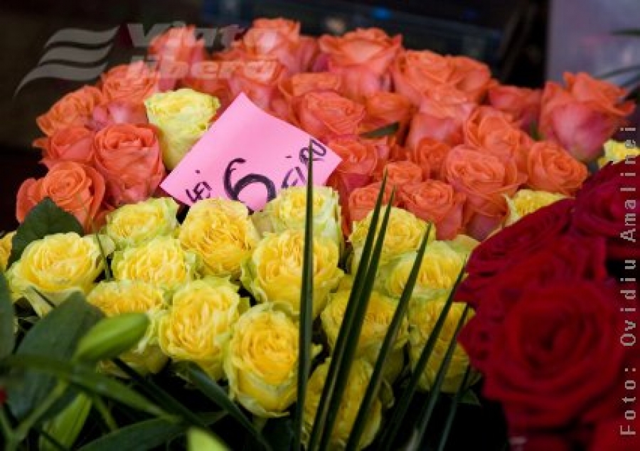 Florăriile gălăţene, victime colaterale în „Războiul lalelelor”