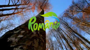 Turismul, promovat pentru turiştii străini în limba română