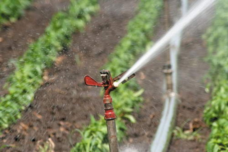 Încă 3.500 de hectare irigate, într-o săptămână