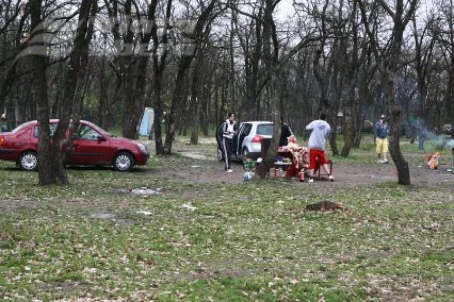 Nesimţirea înfloreşte primăvara 