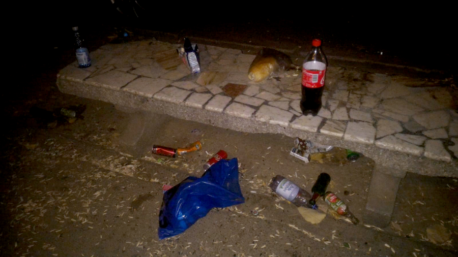 Pentru murdărirea domeniului public, AMENZI de peste 50.000 de lei în doar două zile