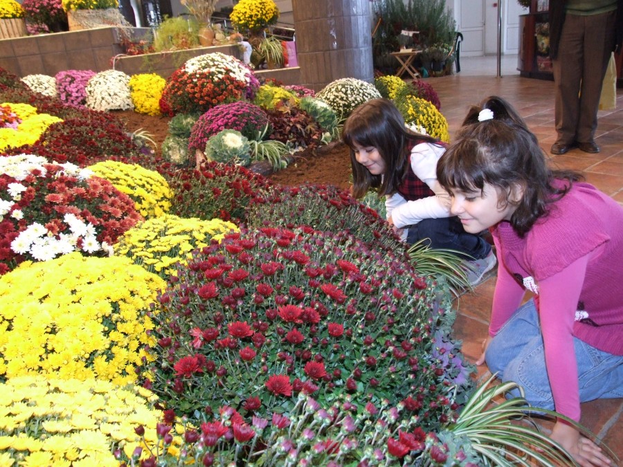 Weekend de vis la Grădina Botanică / Regina Toamnei, Crizantema”