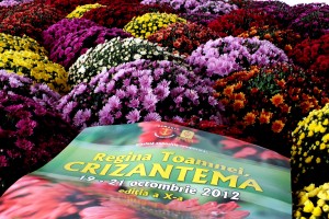 Raiul florilor, la Grădina Botanică: „Regina Toamnei, Crizantema”