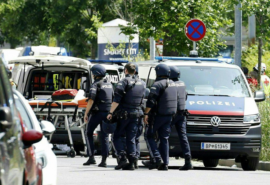 Atac armat cu zece morţi la o școală din oraşul austriac Graz