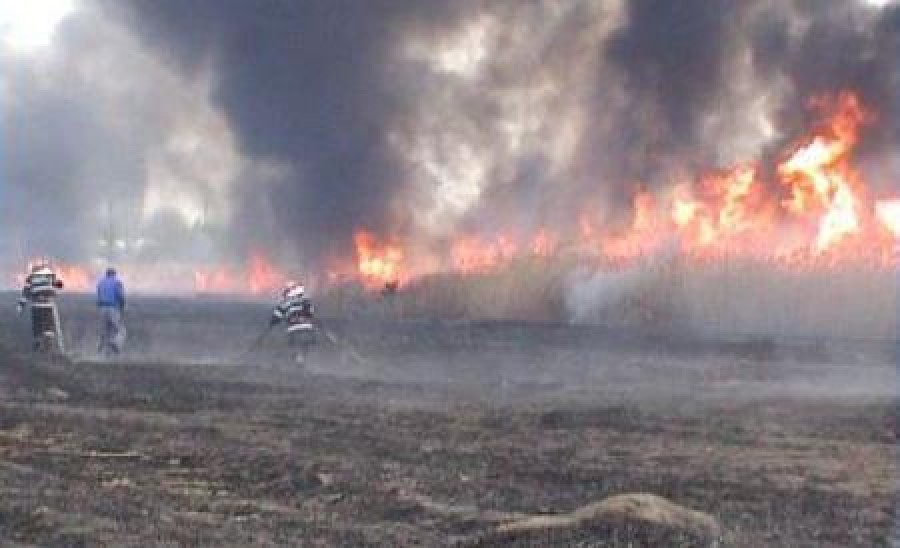 Incendierea vegetaţiei ne arde la buzunare 