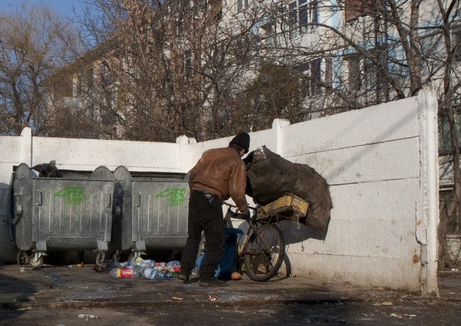 La Parfumul Teilor: Maşinile în adăposturi, câinii pe drum