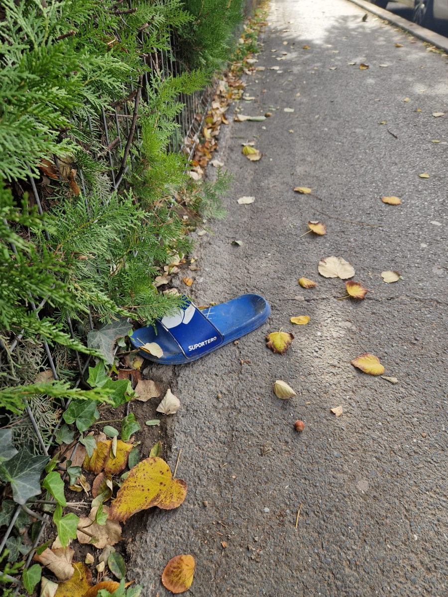 Poza zilei. Toamna se numără... papucii