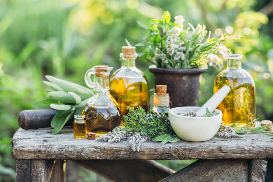 Ce plante medicinale pot fi culese în luna iulie